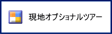 オプショナルツアー