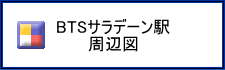 サラデーン・マップ