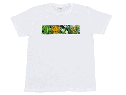 Tシャツ Tシャツ